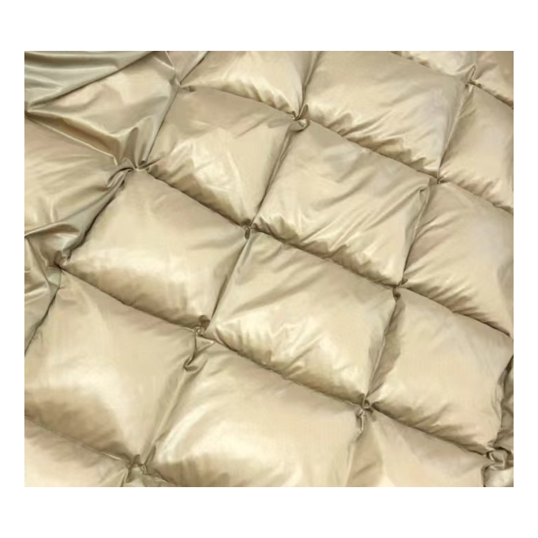 Moncler Glossy Long Down Puffer Coat with Gold Lining - Black